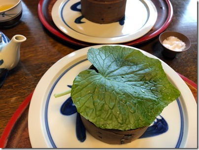 2019-05-19-20kyoto06