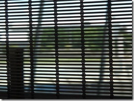 DSC02364_2020-02-08