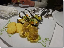 DSC02602_2022-12-03